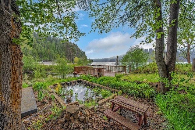 47 Davis Lake Ln, Usk, WA 99180 - view of yard