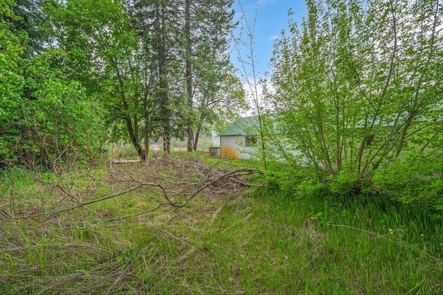 47 Davis Lake Ln, Usk, WA 99180 - view of yard