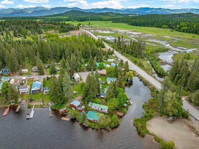 47 Davis Lake Ln, Usk, WA 99180 - aerial view of a forest and a water and mountain view