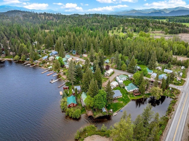 47 Davis Lake Ln, Usk, WA 99180 - aerial overview of property's location featuring a forest and a water and mountain view