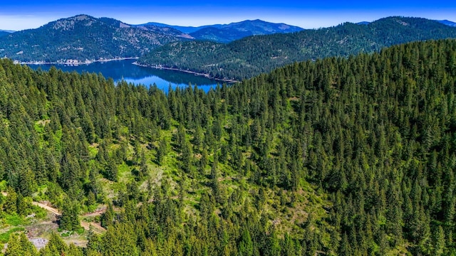 NNA S Deer Lake Way, Deer Park, WA 99148