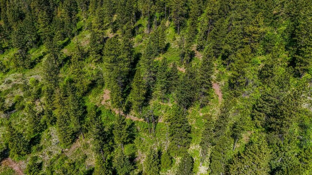 NNA S Deer Lake Way, Deer Park, WA 99148