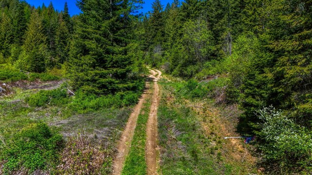 NNA S Deer Lake Way, Deer Park, WA 99148