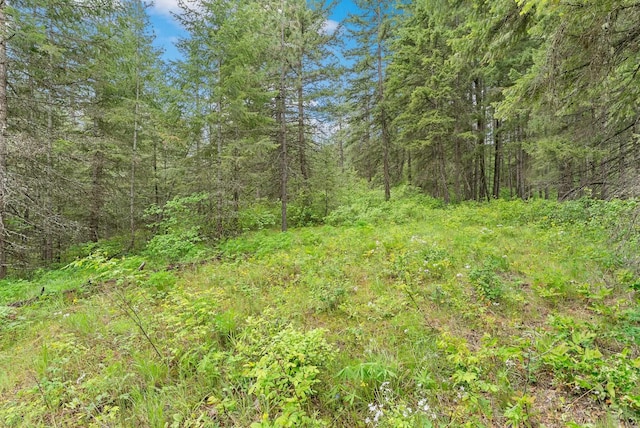 14216 N Norman Rd, Spokane, WA 99217