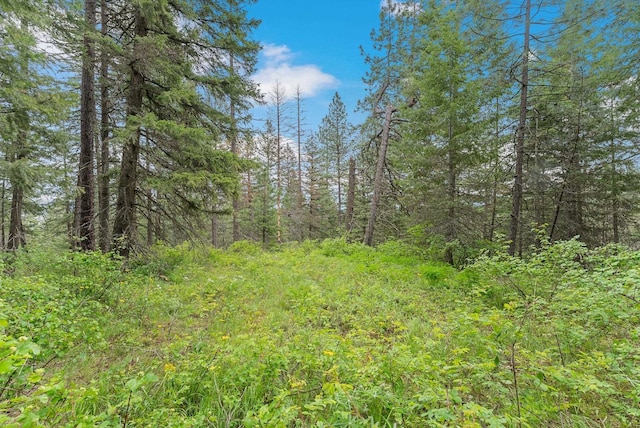 14216 N Norman Rd, Spokane, WA 99217