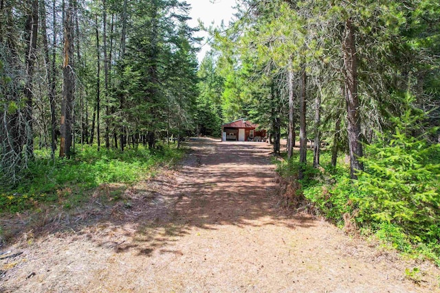 552 Forgotten Trail Rd, Newport, WA 99156 - view of dirt / gravel driveway with a wooded view