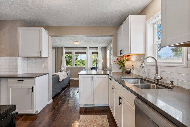 3214 E 29th Ave, Spokane, WA 99223 - kitchen featuring stainless steel dishwasher, a textured ceiling, a sink, dark wood finished floors, and white cabinetry