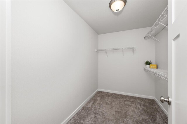 10415 W Salmonberry Rd, Cheney, WA 99004 - photo 26