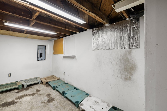 unfinished below grade area featuring electric panel