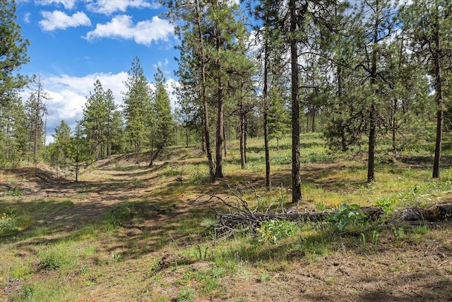 6405 W Trails Rd, Spokane, WA 99224