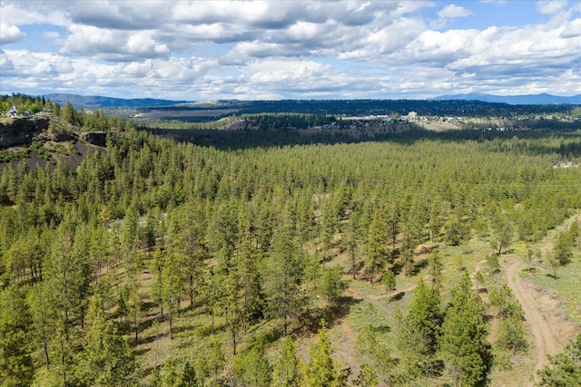 6405 W Trails Rd, Spokane, WA 99224