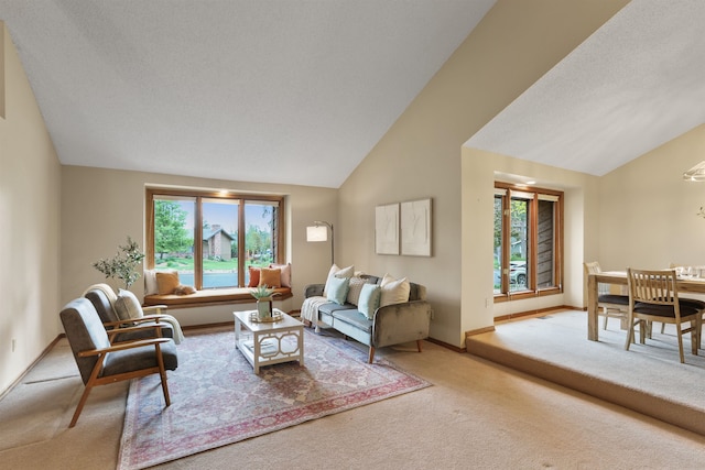 living room featuring lofted ceiling, carpet, and baseboards