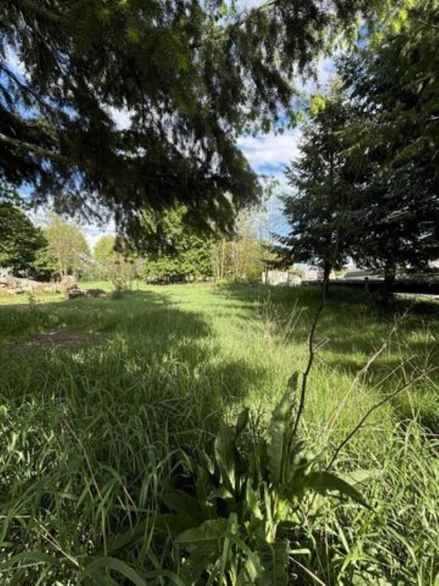 31X E 5th Ave, Kettle Falls, WA 99141