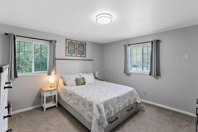 1007 S Bowdish Rd, Spokane Valley, WA 99206 - bedroom with baseboards and carpet floors