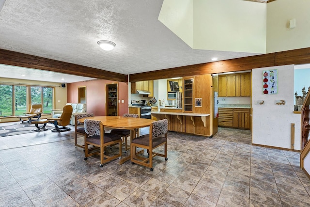 16615 W Stoughton Rd, Cheney, WA 99004 - dining room featuring beamed ceiling, a textured ceiling, baseboards, and recessed lighting
