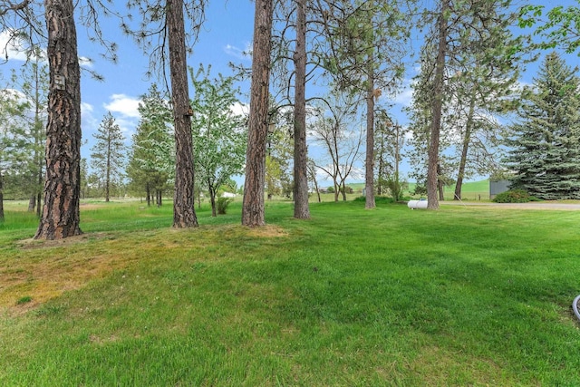 16615 W Stoughton Rd, Cheney, WA 99004 - view of green lawn