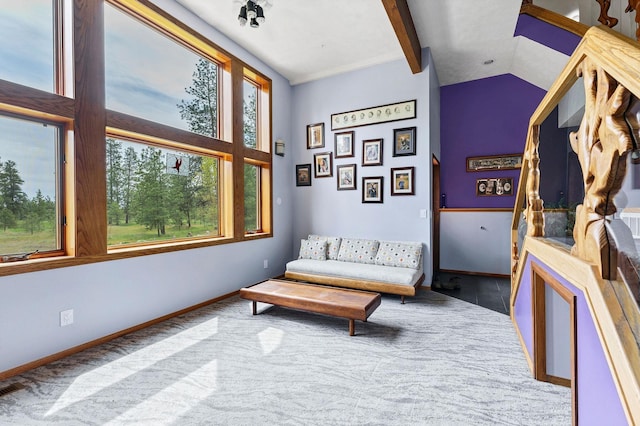 16615 W Stoughton Rd, Cheney, WA 99004 - sitting room featuring carpet, lofted ceiling, and baseboards