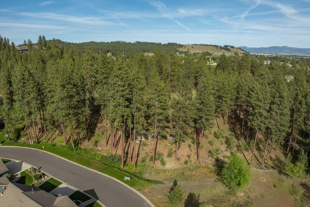 4919 N Hazelwood Terrace Ln, Spokane Valley, WA 99212 - photo 44