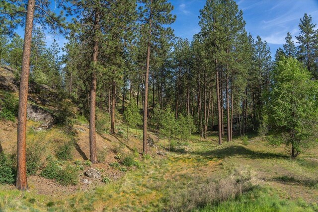 4919 N Hazelwood Terrace Ln, Spokane Valley, WA 99212 - photo 45