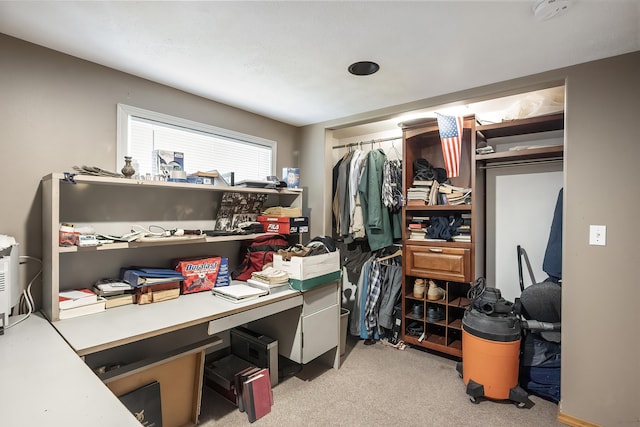 spacious closet with light colored carpet