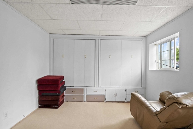 14203 E Belmont Rd, Mica, WA 99023 - sitting room featuring carpet and a paneled ceiling