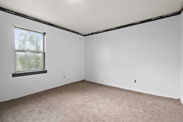 14203 E Belmont Rd, Mica, WA 99023 - unfurnished room with carpet flooring