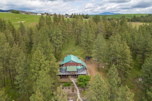 5217 E Stoughton Rd, Valleyford, WA 99036 - view of subject property featuring a forest