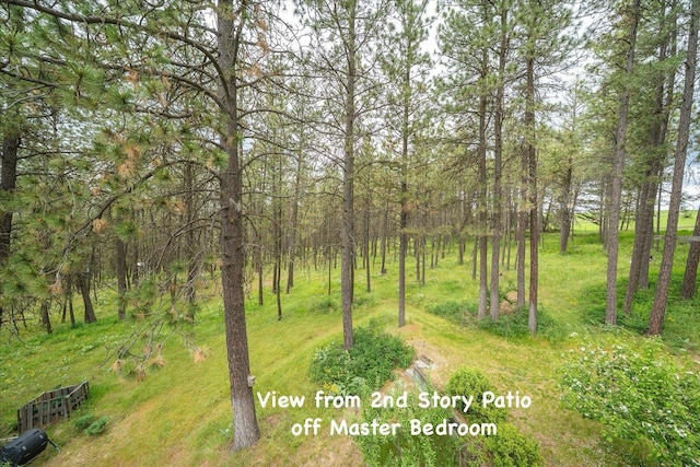 5217 E Stoughton Rd, Valleyford, WA 99036 - view of local wilderness