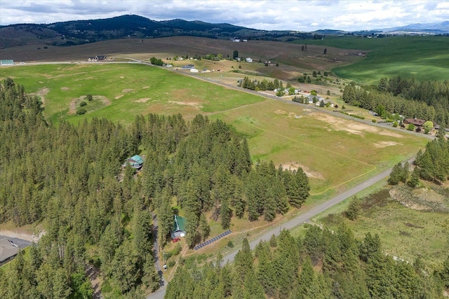 5217 E Stoughton Rd, Valleyford, WA 99036 - photo 49