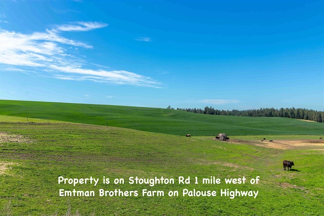 5217 E Stoughton Rd, Valleyford, WA 99036 - photo 50