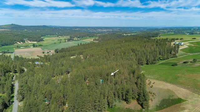 5217 E Stoughton Rd, Valleyford, WA 99036 - photo 7