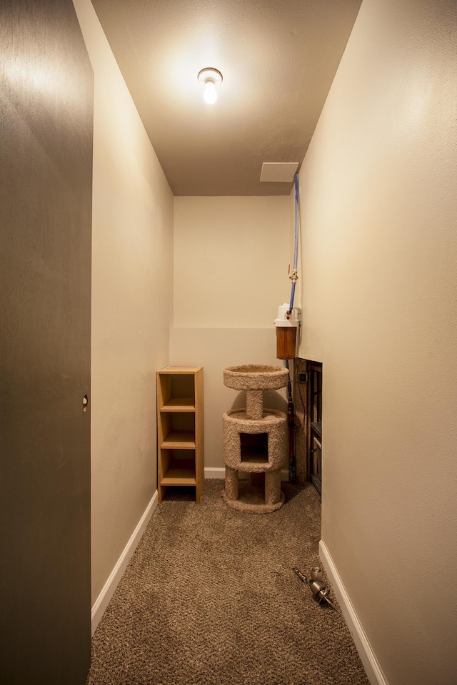 38821 N Newport Hwy, Elk, WA 99009 - spacious closet featuring carpet flooring