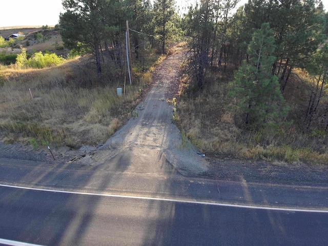 14117 E Gibbs Rd, Mica, WA 99023
