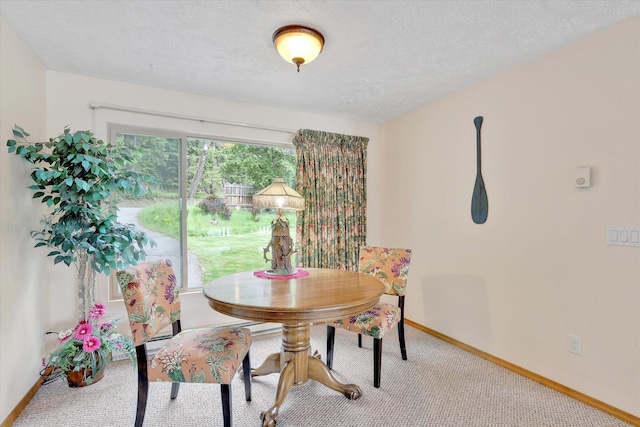 13227 N E Newman Lake Dr, Newman Lake, WA 99025 - carpeted dining area featuring baseboards and a textured ceiling