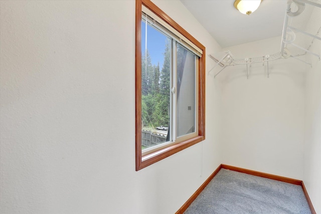 13227 N E Newman Lake Dr, Newman Lake, WA 99025 - walk in closet featuring carpet floors