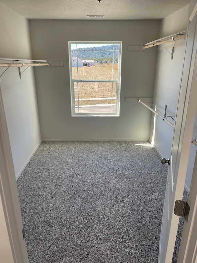 18718 E Riverside Ct, Spokane Valley, WA 99016 - walk in closet featuring carpet