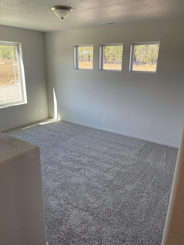 18718 E Riverside Ct, Spokane Valley, WA 99016 - unfurnished room featuring a textured ceiling, plenty of natural light, and carpet flooring