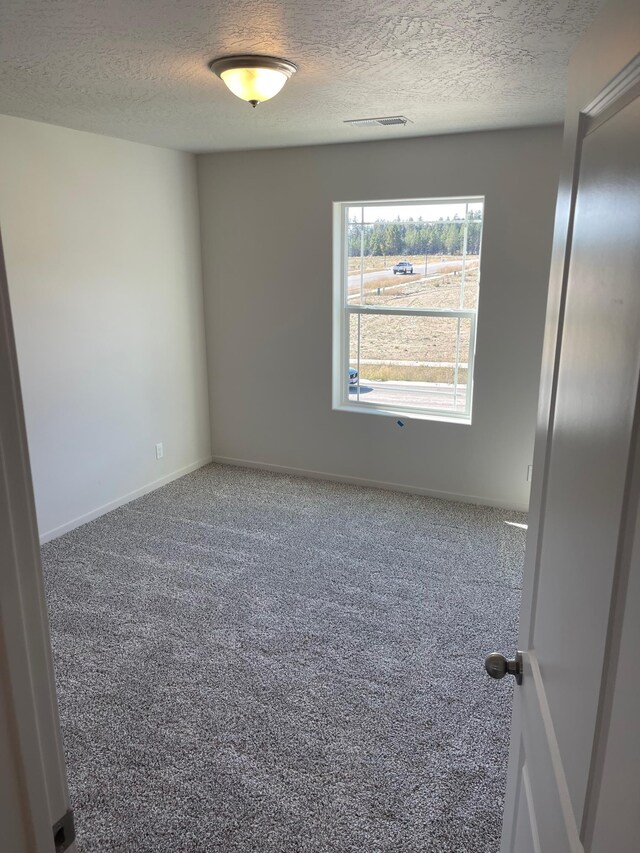 18718 E Riverside Ct, Spokane Valley, WA 99016 - unfurnished room with a textured ceiling, carpet, and baseboards