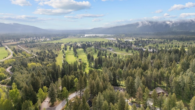 26 Hanaford Rd, Blanchard, ID 83804 - photo 33