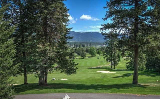 26 Hanaford Rd, Blanchard, ID 83804 - photo 37