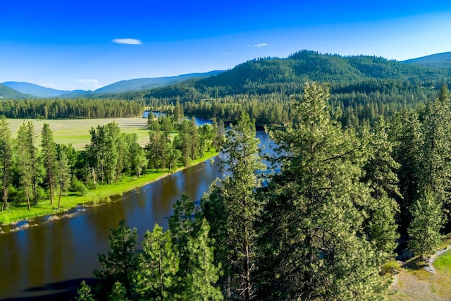 20 River Ranch Rd, Kettle Falls, WA 99141 - bird's eye view of a forest and a water and mountain view
