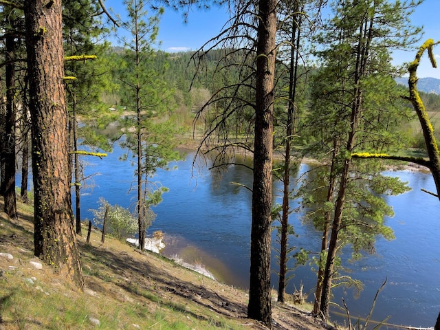 water view featuring a heavily wooded area
