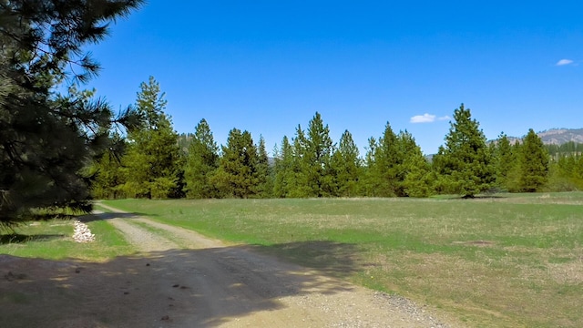 view of dirt / gravel road