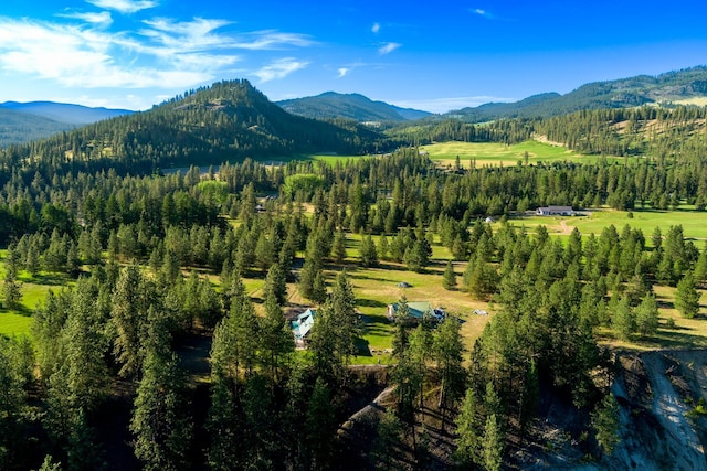 20 River Ranch Rd, Kettle Falls, WA 99141 - mountain view