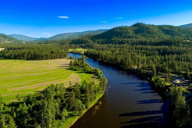20 River Ranch Rd, Kettle Falls, WA 99141 - drone / aerial view of a forest and a water and mountain view