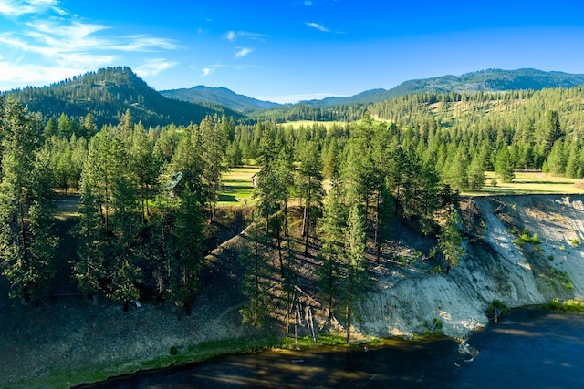 20 River Ranch Rd, Kettle Falls, WA 99141 - view of mountain background featuring a forest