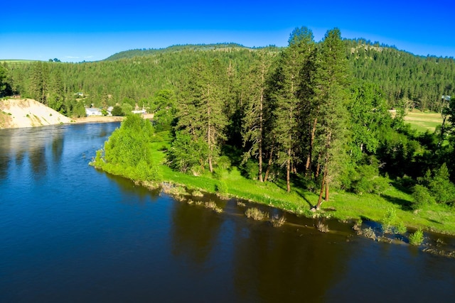 20 River Ranch Rd, Kettle Falls, WA 99141 - water view featuring a forest and a mountainous background
