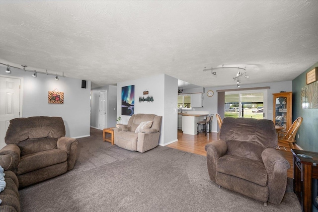 24005 E Garland Ave, Otis Orchards, WA 99027 - carpeted living room with track lighting, baseboards, and a textured ceiling