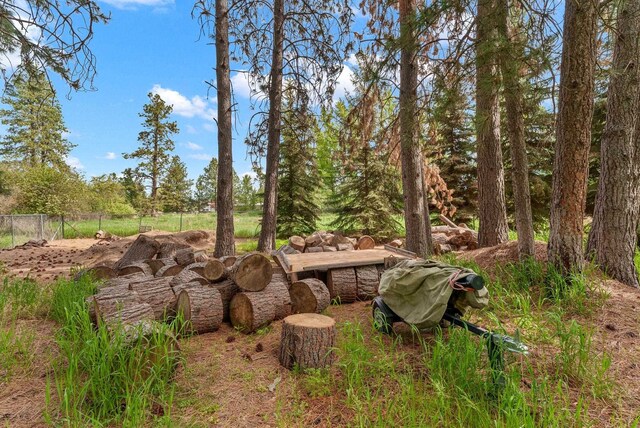 4109 S Hollow Ct, Spokane, WA 99206 - view of yard with fence