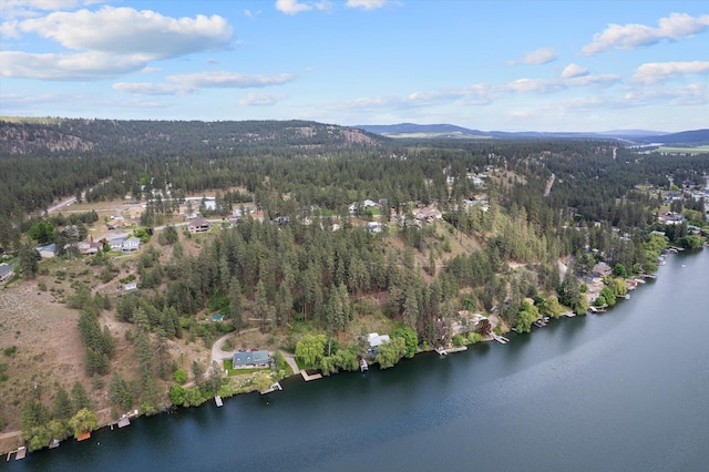 6482 Lakeview Dr, Nine Mile Falls, WA 99026 - aerial overview of property's location with a heavily wooded area and a water and mountain view